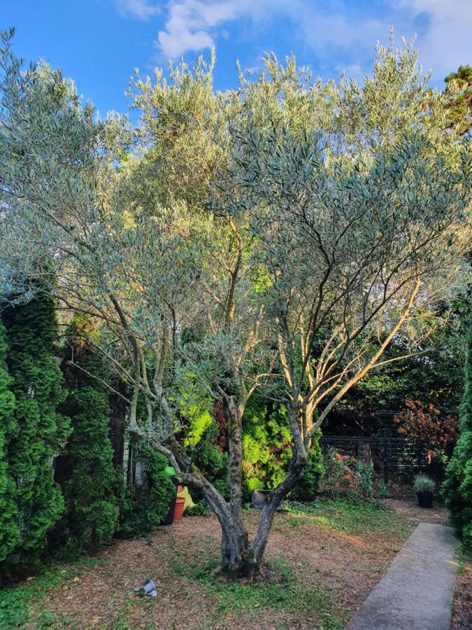 Cypress Garden Διαμέρισμα Πορτορόζ Εξωτερικό φωτογραφία