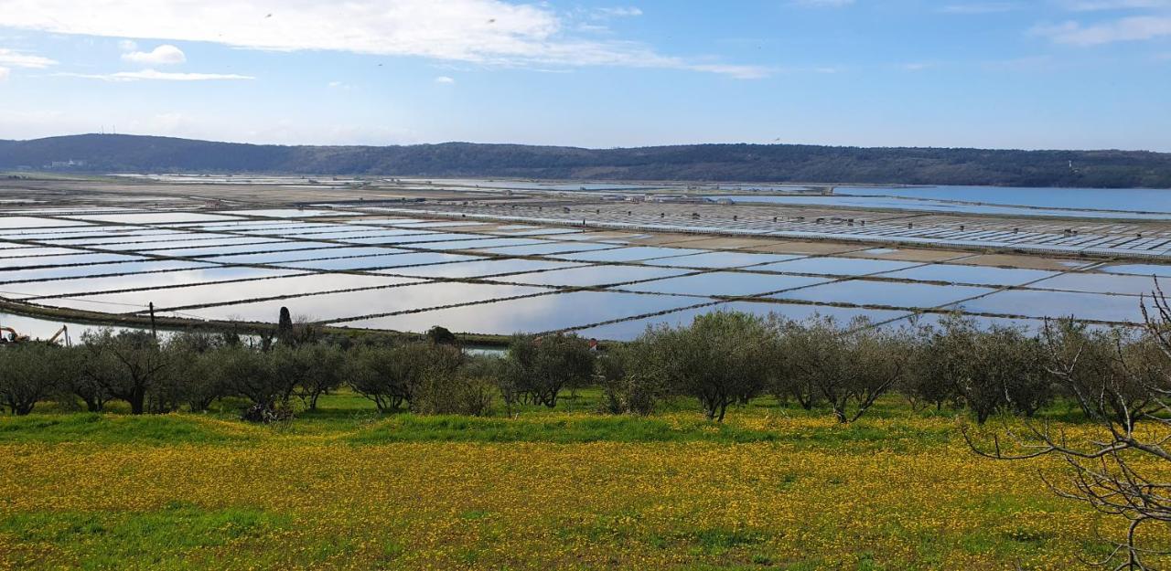 Cypress Garden Διαμέρισμα Πορτορόζ Εξωτερικό φωτογραφία