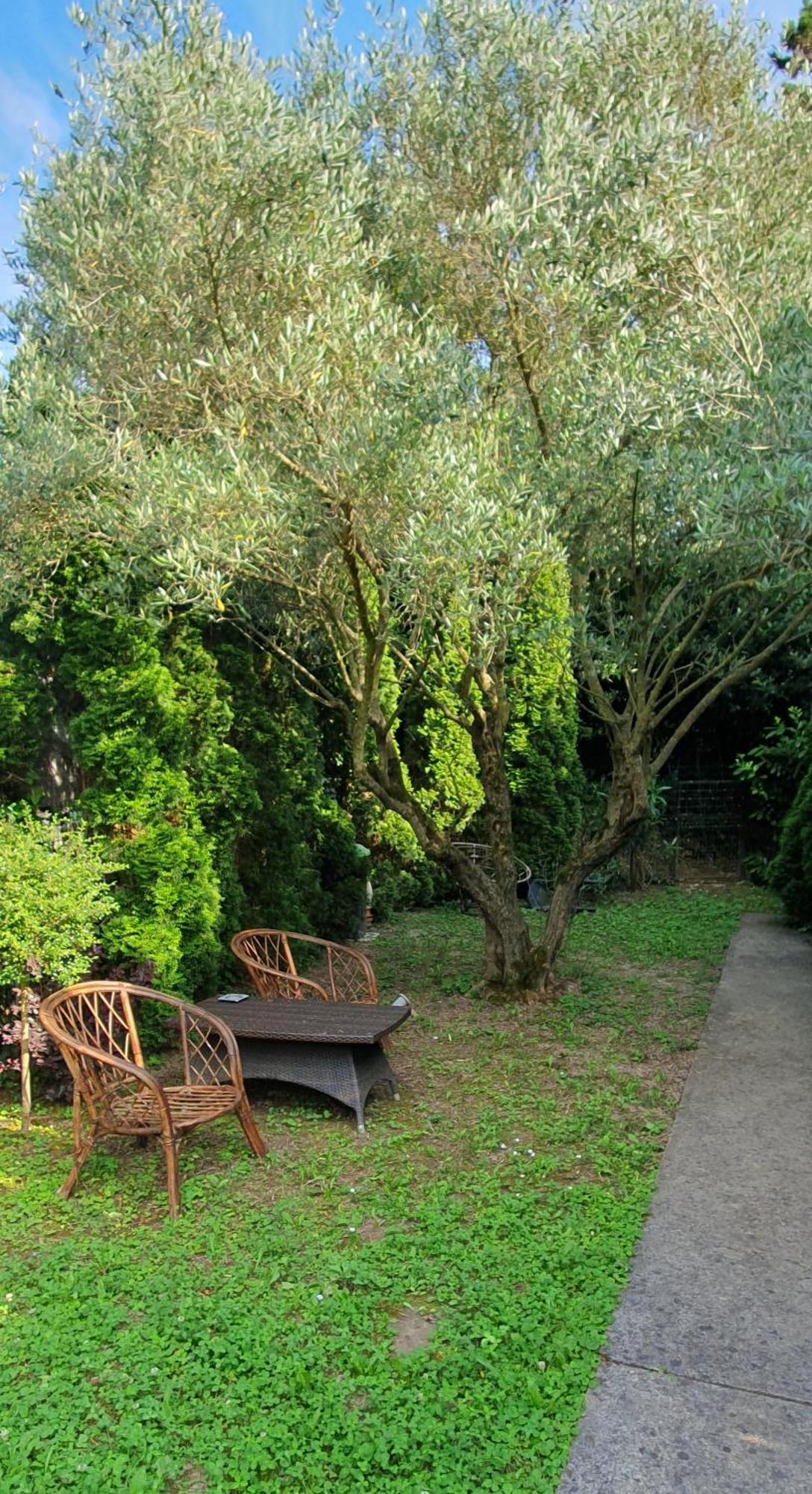 Cypress Garden Διαμέρισμα Πορτορόζ Εξωτερικό φωτογραφία